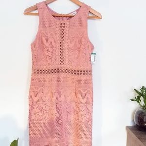 Soieblu Lace Applique Dress